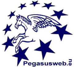 Logo der Agentur Floren -Pegasusweb-